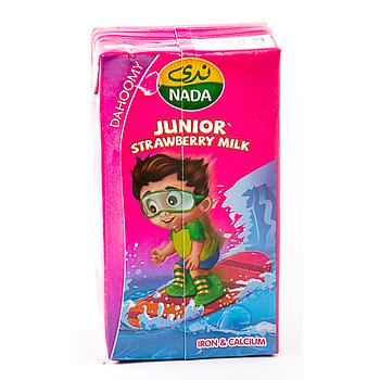 Nada Junior Strawberry Milk 125Ml
